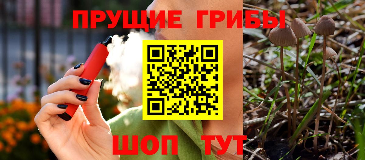 Нурлат  Псилоцибиновые грибы ЛСД  Вход с VPN 